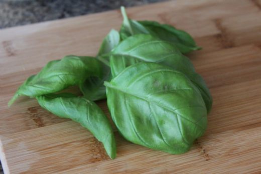 Taze Fesleğen Kullanımı ve Faydaları Nelerdir?