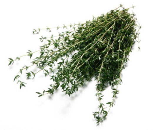 Fesleğen Kurusu Özellikleri ve Faydaları Nelerdir?